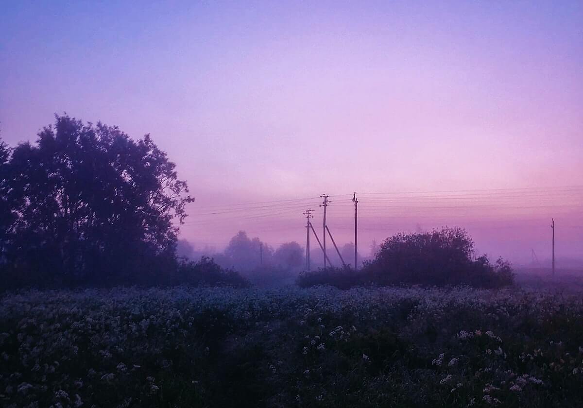 上海一公职人员被查